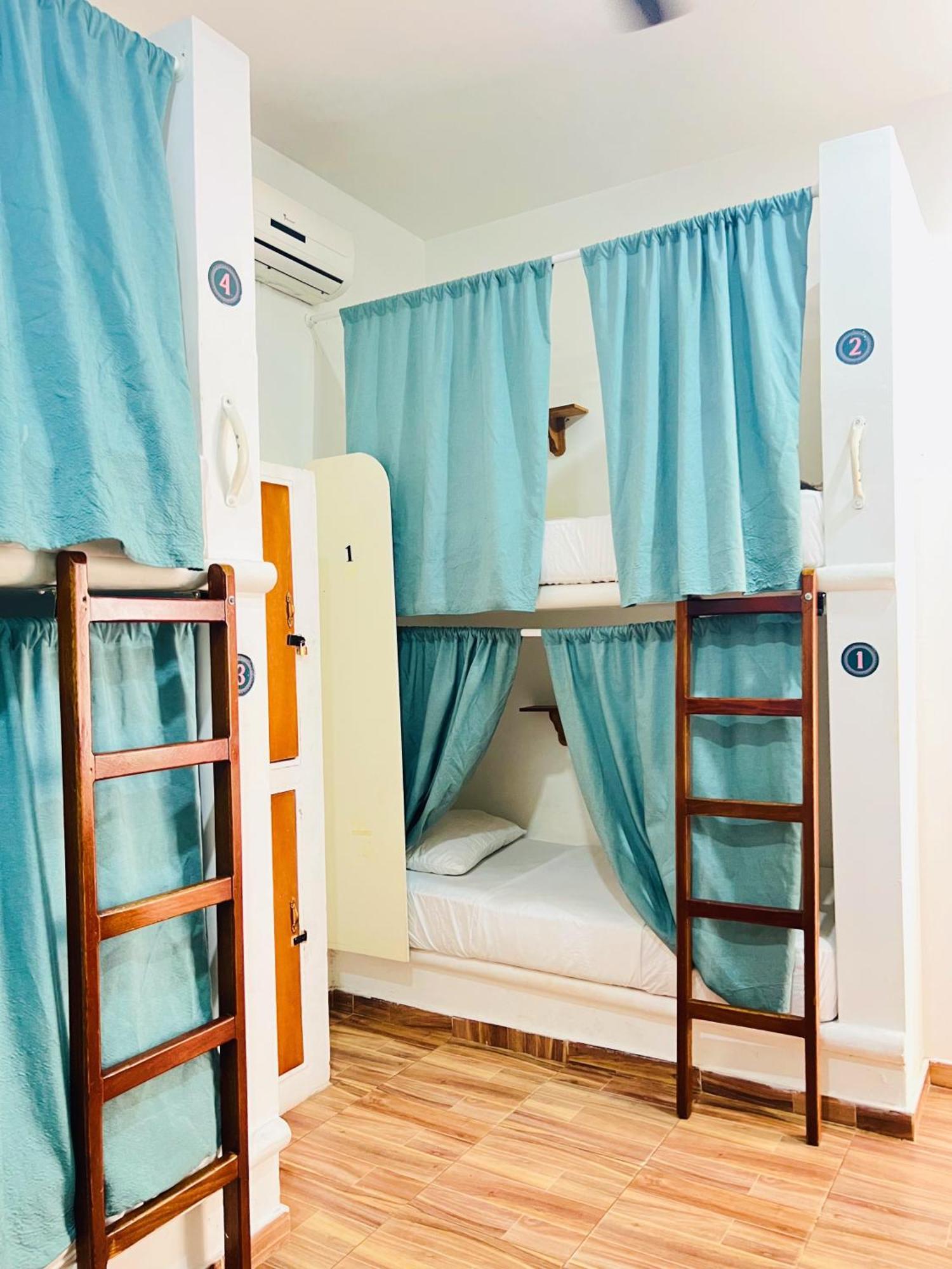 Bed in 6-Bed Mixed Dormitory Room